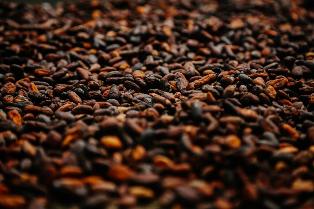 Boabele de cacao, mai valoroase decât cuprul