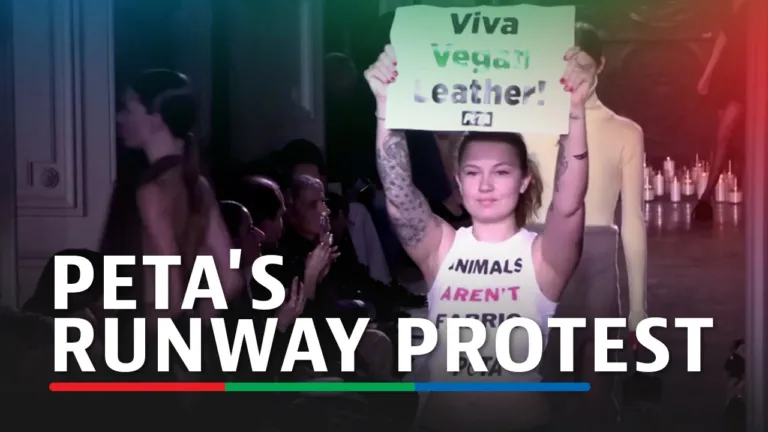 Activiștii pentru drepturile animalelor de la PETA