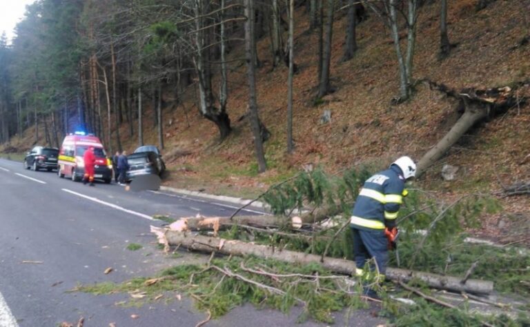 Un copac a căzut pe o mașină aflată în trafic