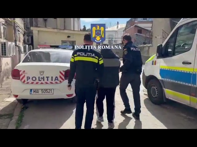 (VIDEO) Oltean reținut pentru tăiere și furt de arbori