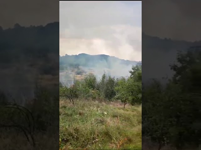 (VIDEO) Gorj: 35 de incendii de vegetație într-o singură zi