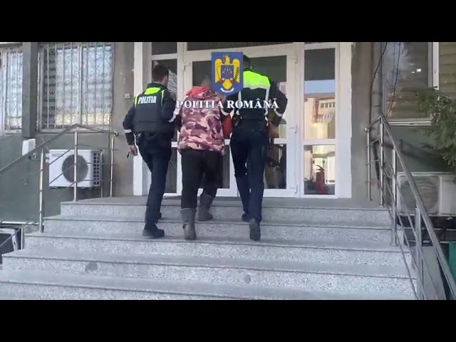 (VIDEO) Olt: Două persoane, reținute pentru tăiere ilegală de arbori