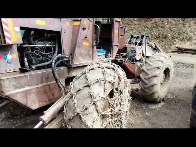 (VIDEO) Deșeuri abandonate pe malul unui pârâu din Runcu