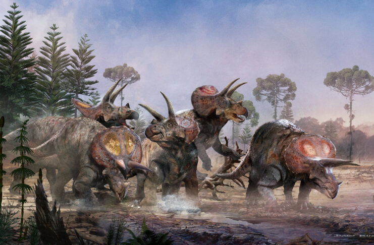 Spielberg avea dreptate: Dinozaurii cu trei coarne au trăit și au murit împreună