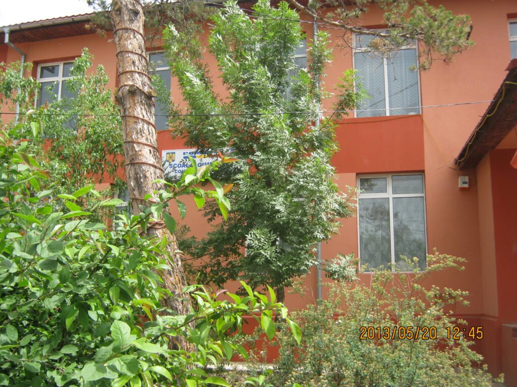 Olt: Directoarea Şcolii Generale din Valea Mare, cercetată pentru purtare abuzivă