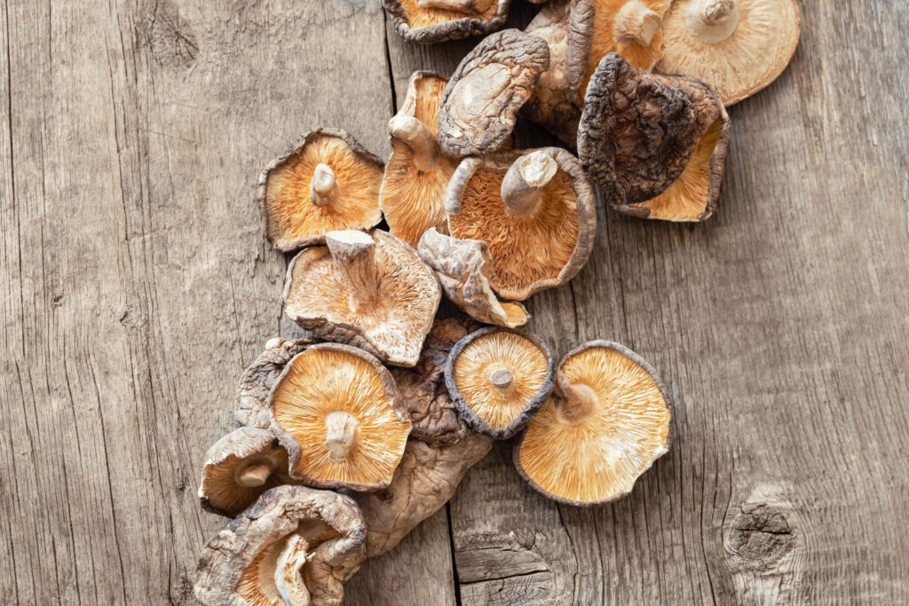 Ciupercile shiitake, sursă de sănătate