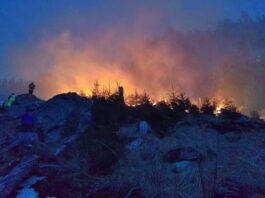 Incendiu de pădure în Munții Făgăraș