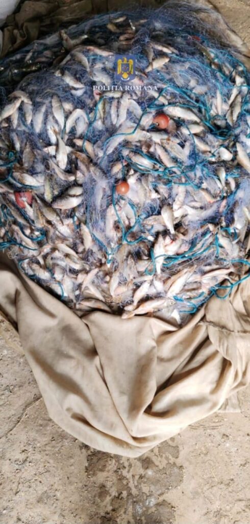Dolj: 200 de metri de plase monofilament, confiscate