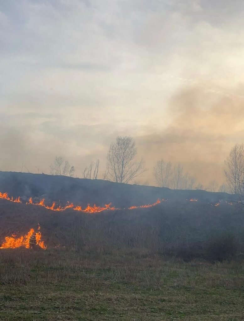 Gorj: Incendiu de vegetație uscată la Stoina