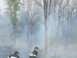 Incendiu de litieră în Tălpaș