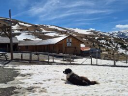 Pregătiri pentru redeschiderea celui mai cunoscut obiectiv de pe Transalpina, Stâna „Ștefanu”