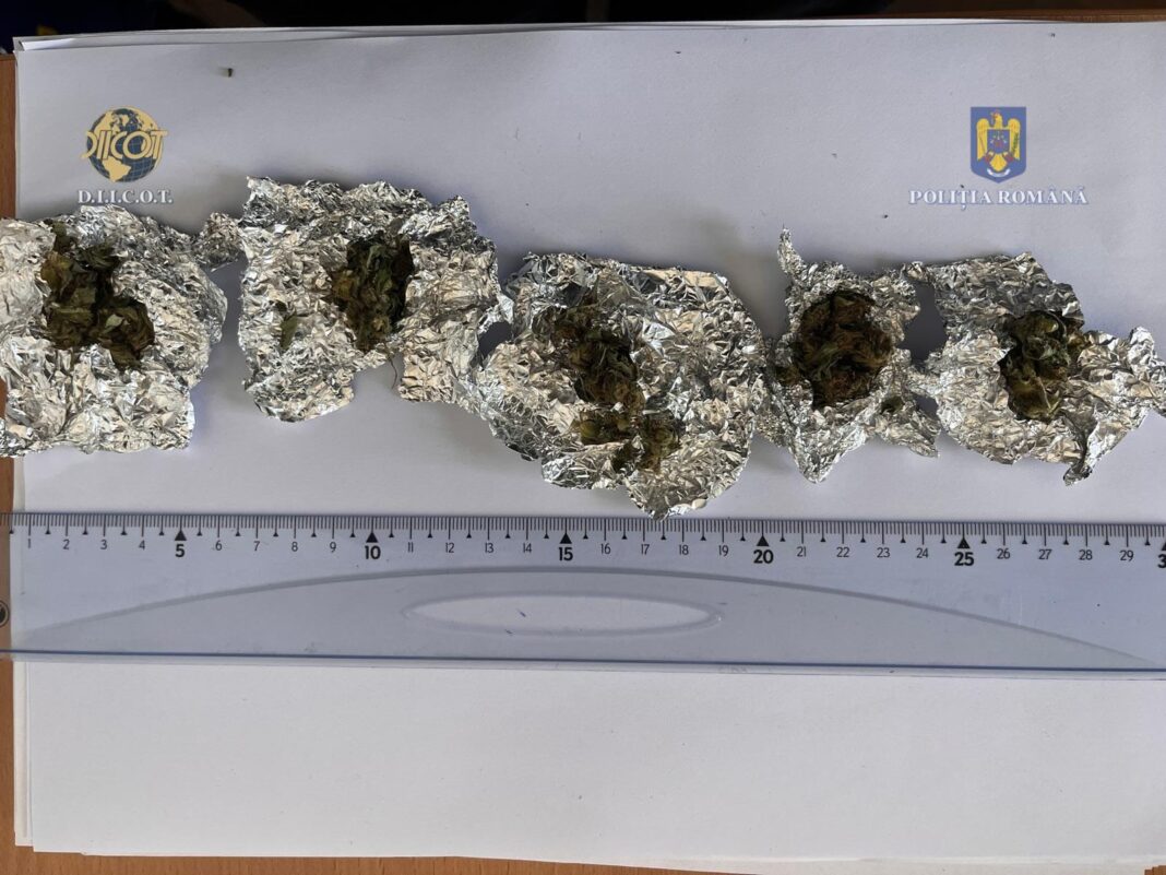n urma percheziției domiciliare efectuate, au fost descoperite și ridicate semințe de canabis