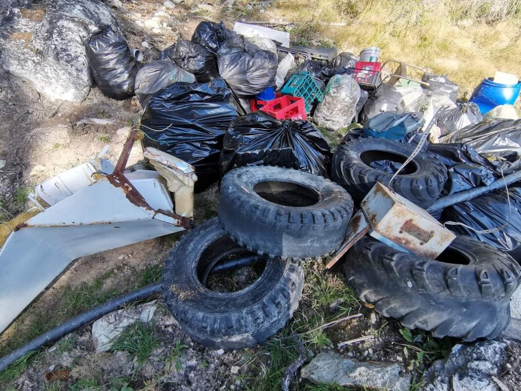 Acțiune de ecologizare a pădurilor din Rânca