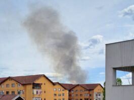 Incendiu de vegetație uscată la Târgu Jiu