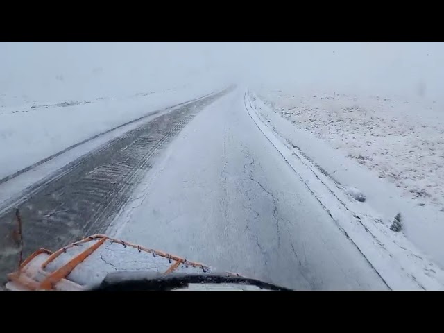 (VIDEO) Ninge mărunt la Rânca