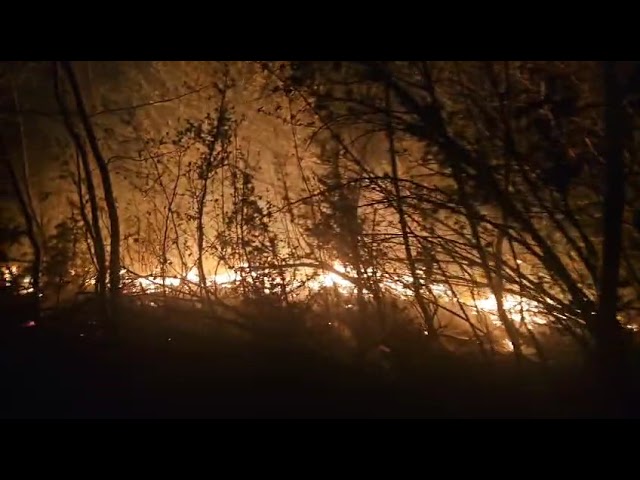 (VIDEO) Nouă incendii de vegetaţie în ultimele 24 de ore în Mehedinţi