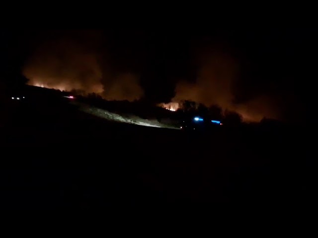 (VIDEO) 30 de hectare de vegetație uscată și pădure, arse la Novaci