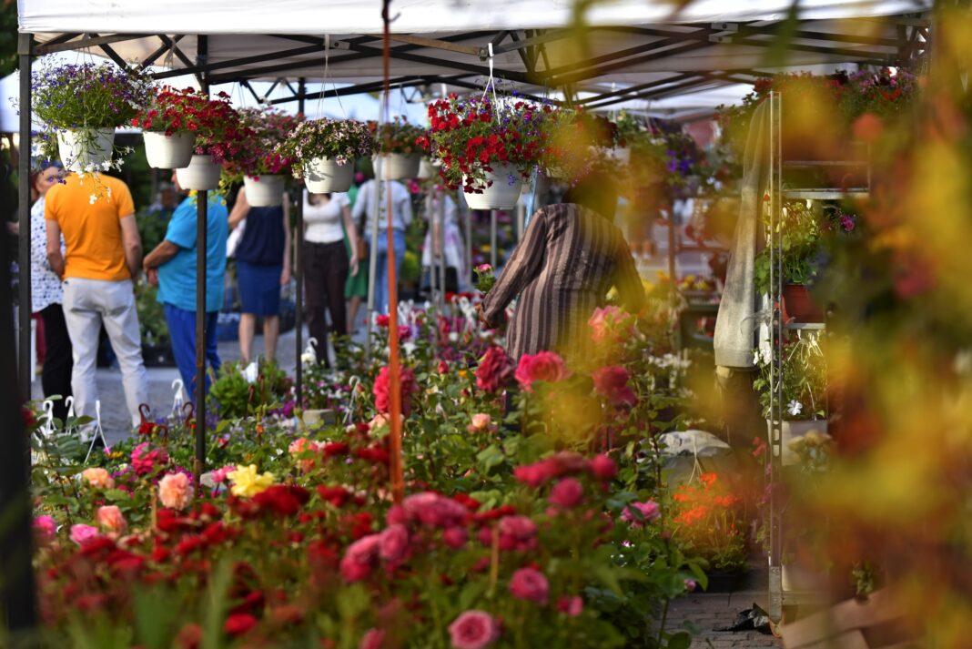 „ExpoFlora Craiova 2024”, în perioada 30 mai – 2 iunie