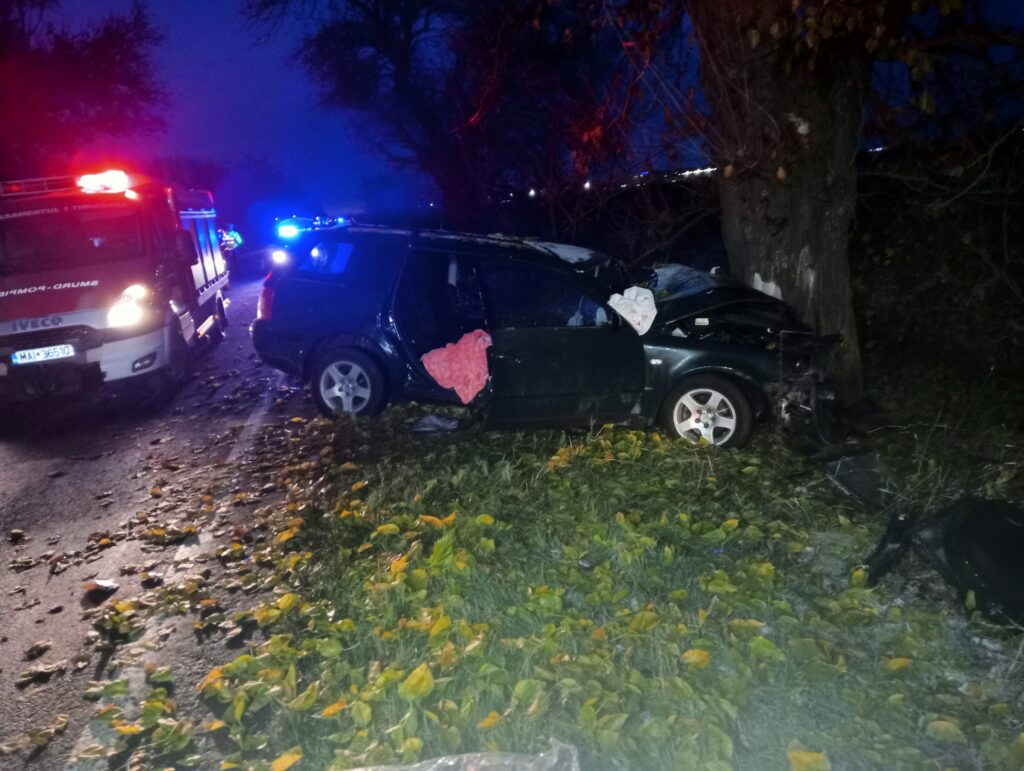 O adolescentă de 17 ani a murit în accidentul provocat de prietenul ei de 19 ani