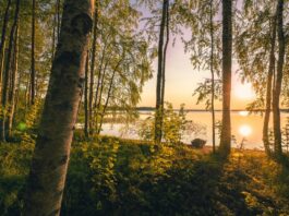 Finlanda a emis pentru prima dată în luna mai o avertizare de caniculă