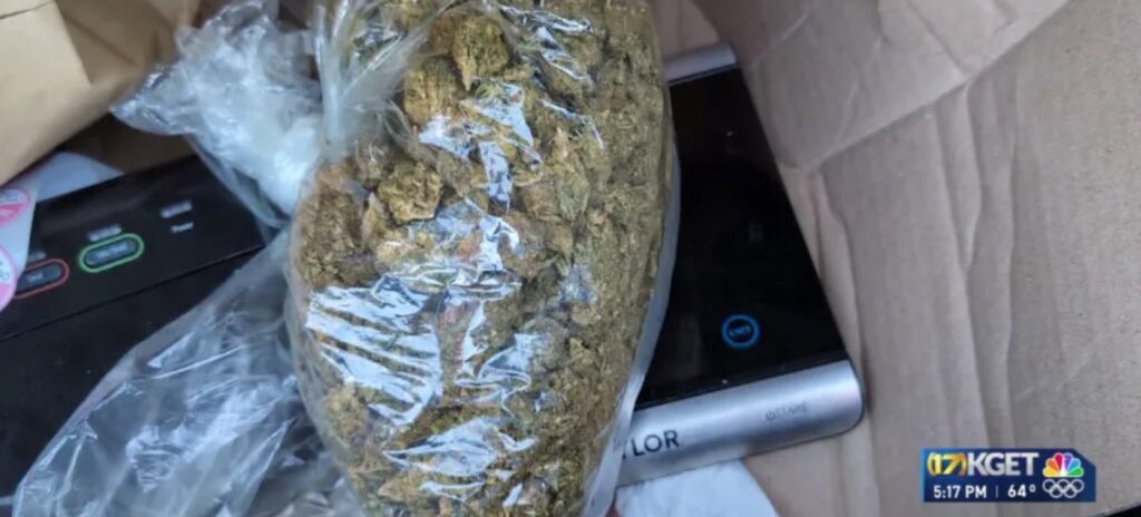 (VIDEO) Femeia din Bakersfield care a încercat să predea marijuana găsită, respinsă de poliție