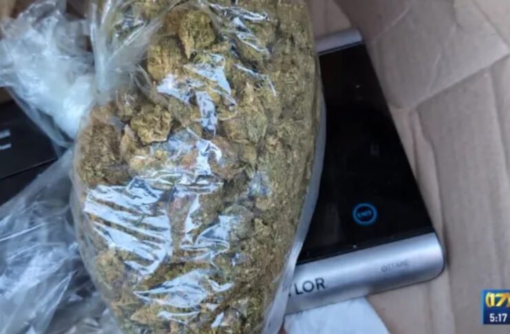 O parte din marijuana găsită în colet
