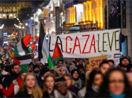 Oamenii participă la o demonstrație de susținere a Gazei și a palestinienilor, organizată de Comitetul Palestinian, lângă Palatul Regal și clădirea parlamentului norvegian, Stortinget, la Oslo, Norvegia, 4 noiembrie