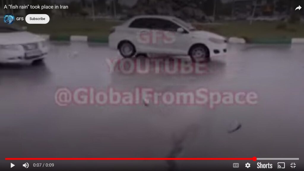 VIDEO. Pești de toate mărimile au căzut din cer, într-un orăşel din sudul Iranului