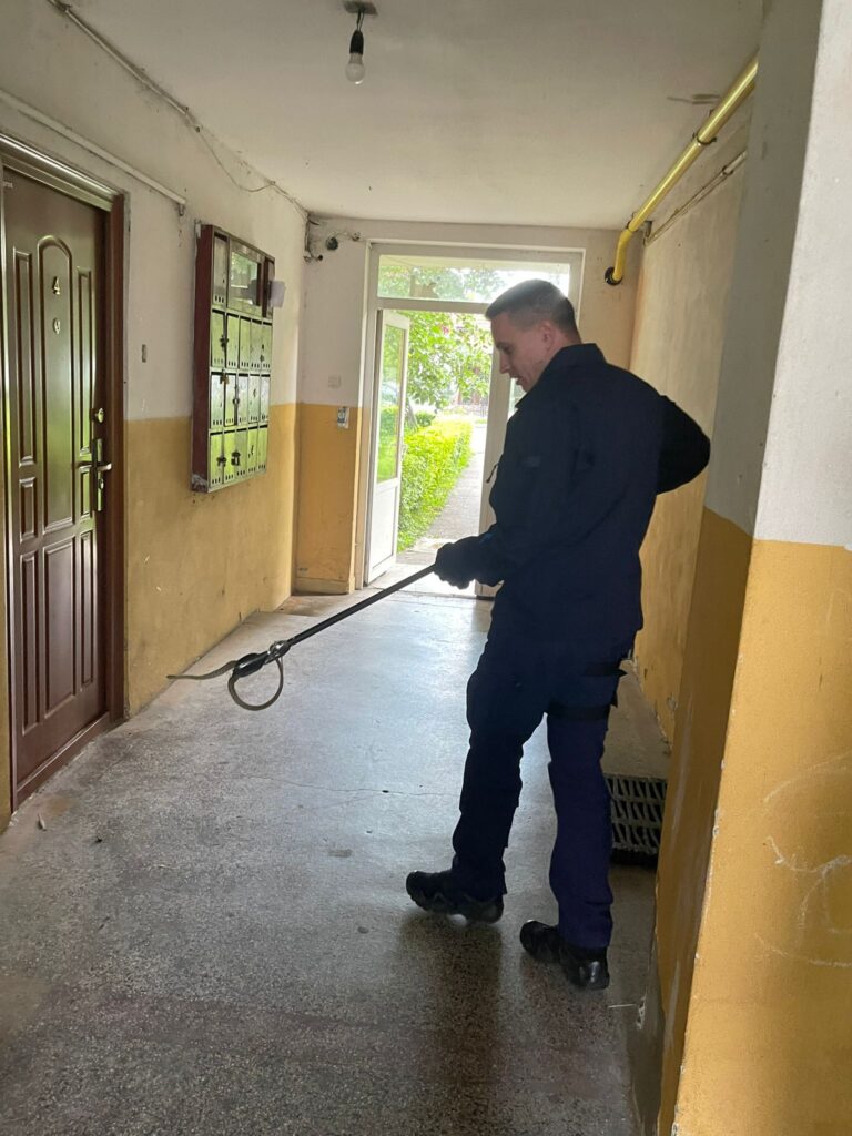 Șarpe descoperit în scara unui bloc din Târgu Jiu