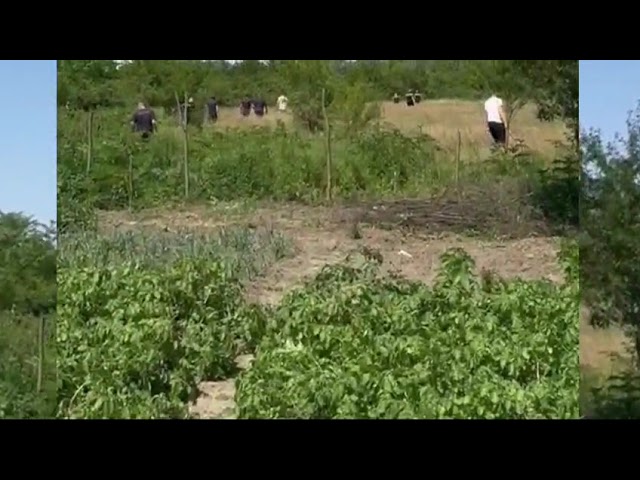 (VIDEO) Dolj: Căutările minorei Raisa continuă