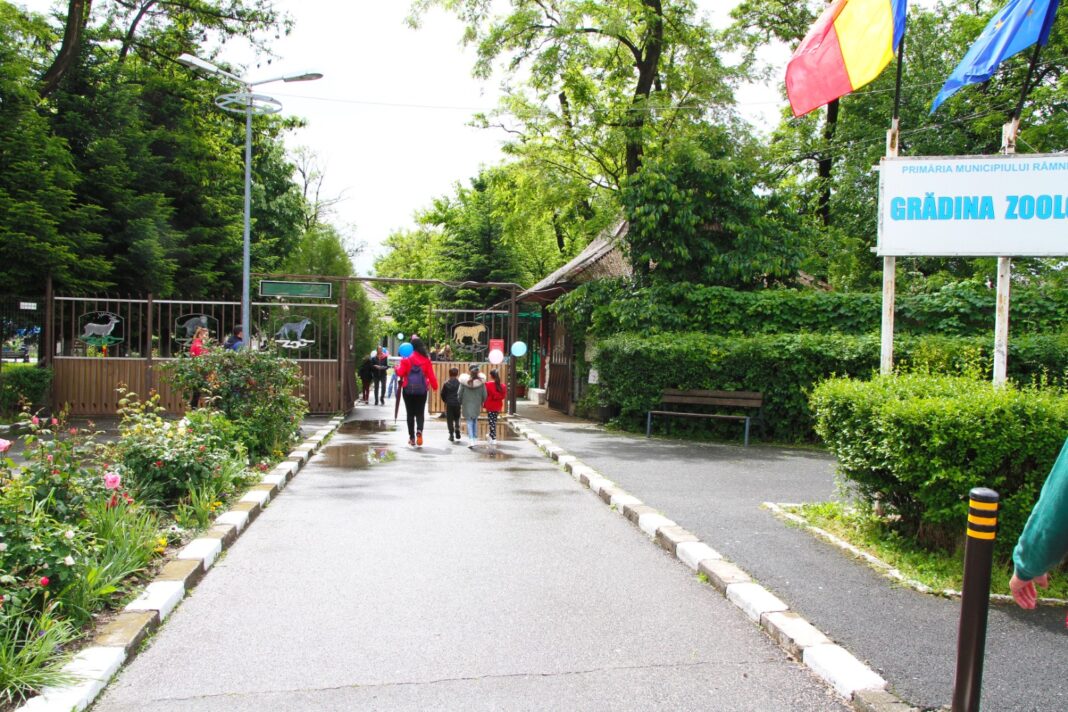 Grădina Zoologică din Ostroveni este deschisă până la ora 20.00