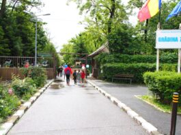 Grădina Zoologică din Ostroveni este deschisă până la ora 20.00