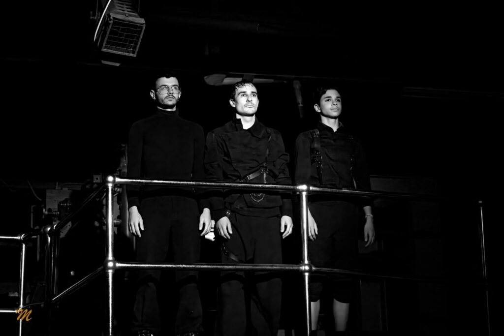Teatru în limba semnelor române şi fraţii care fac tăcerea să vorbească. Din culisele Echoes of the Feminine, de la Tipografia