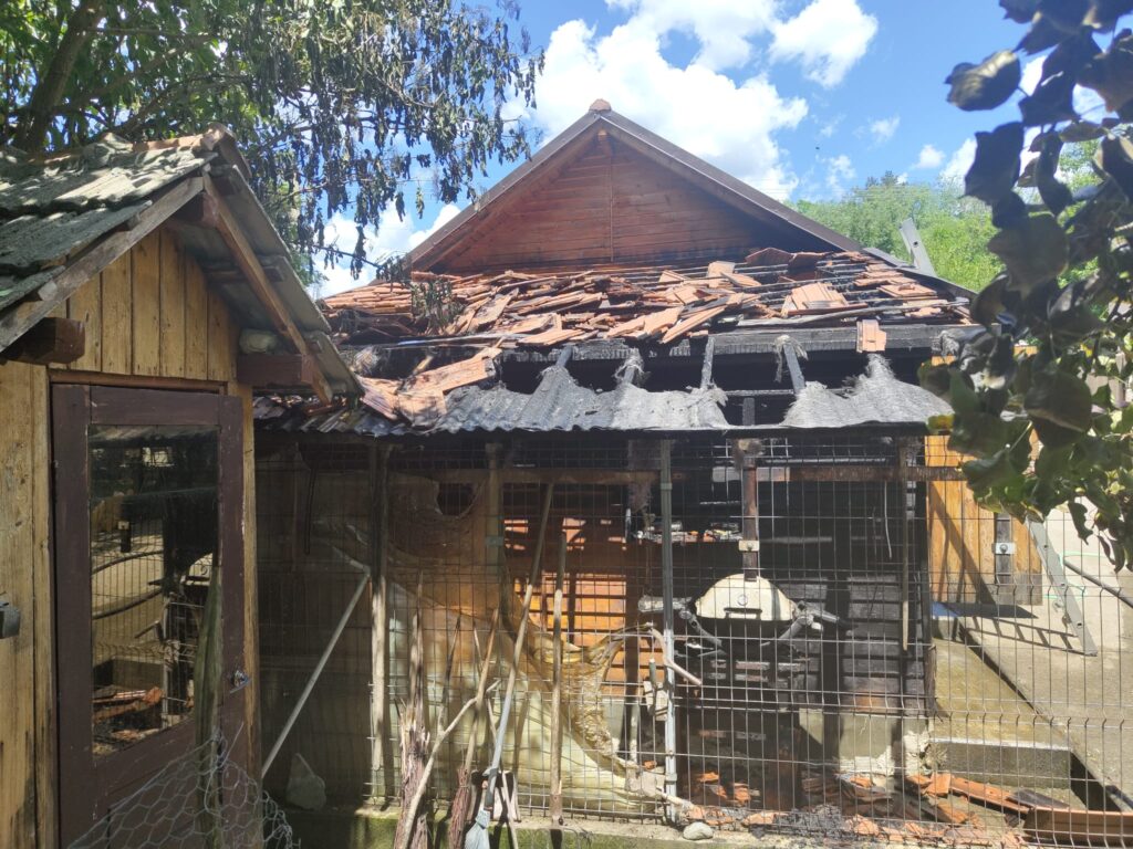 Vâlcea: Incendiu la o locuință din comuna Golești