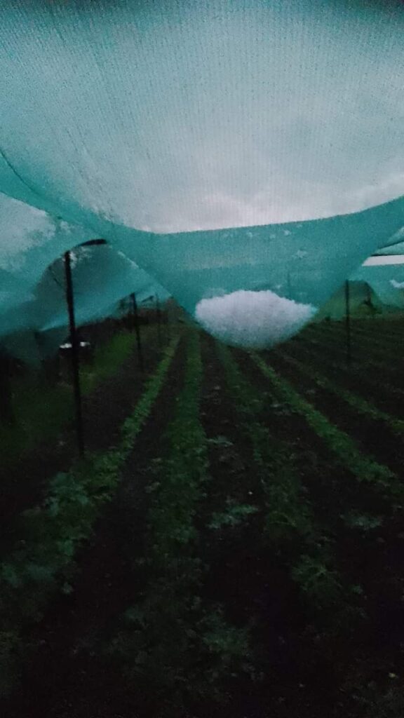 Grindina a făcut prăpăd la Polovragi