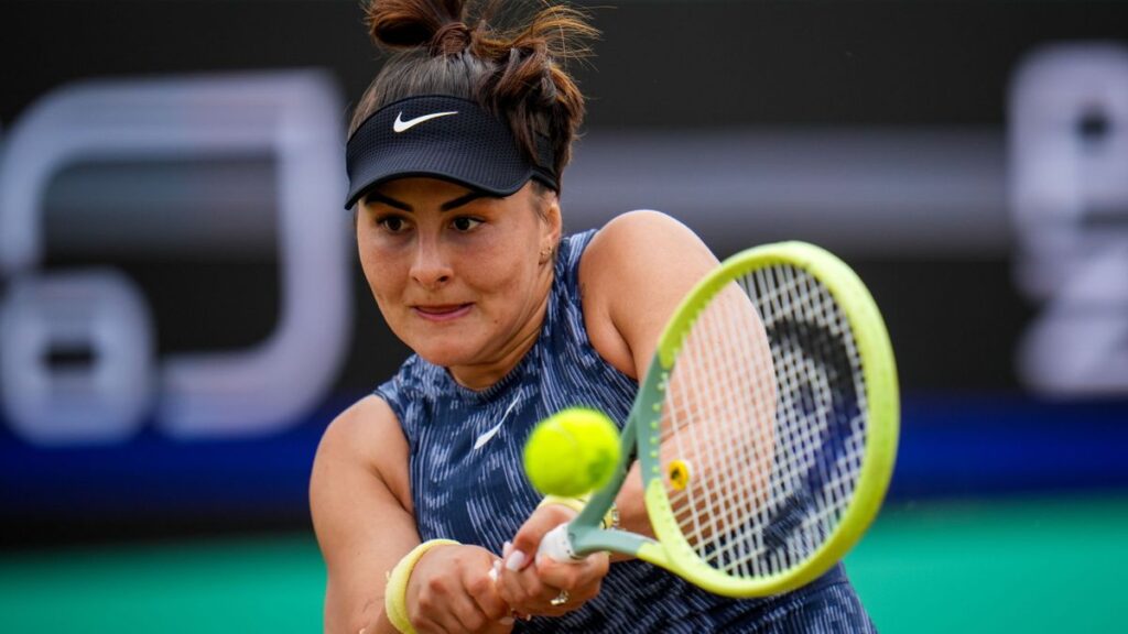 Bianca Andreescu s-a înclinat în faţa Samsonovei, în finala de la ‘s-Hertogenbosch