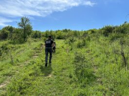 Bărbat căutat de polițiștii din Gorj, după ce a dispărut de acasă