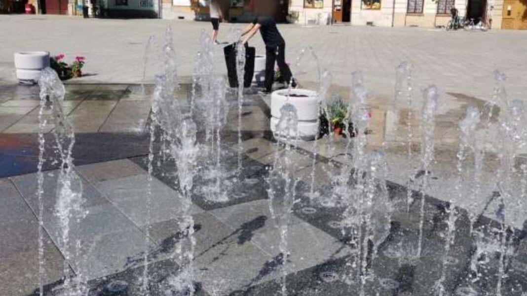 fantana arad Femeie amendată după ce şi-a spălat covoarașele mașinii într-o fântână arteziană din centrul Aradului