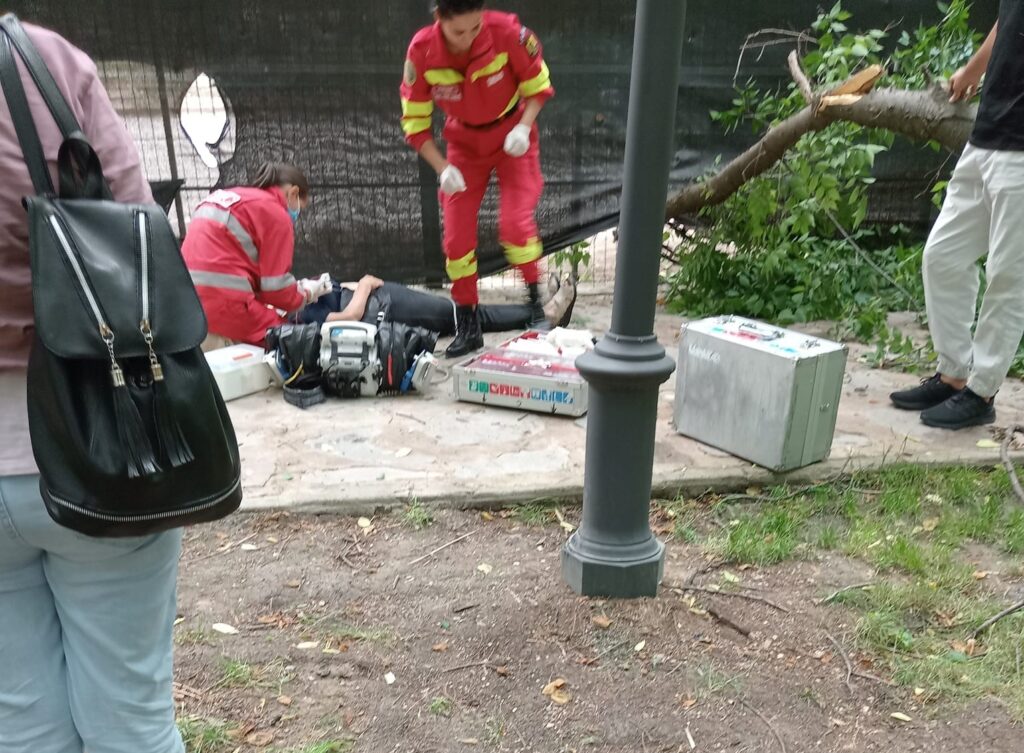 Femeie rănită de o creangă, în timp ce trecea prin Parcul Pedagogic din Craiova