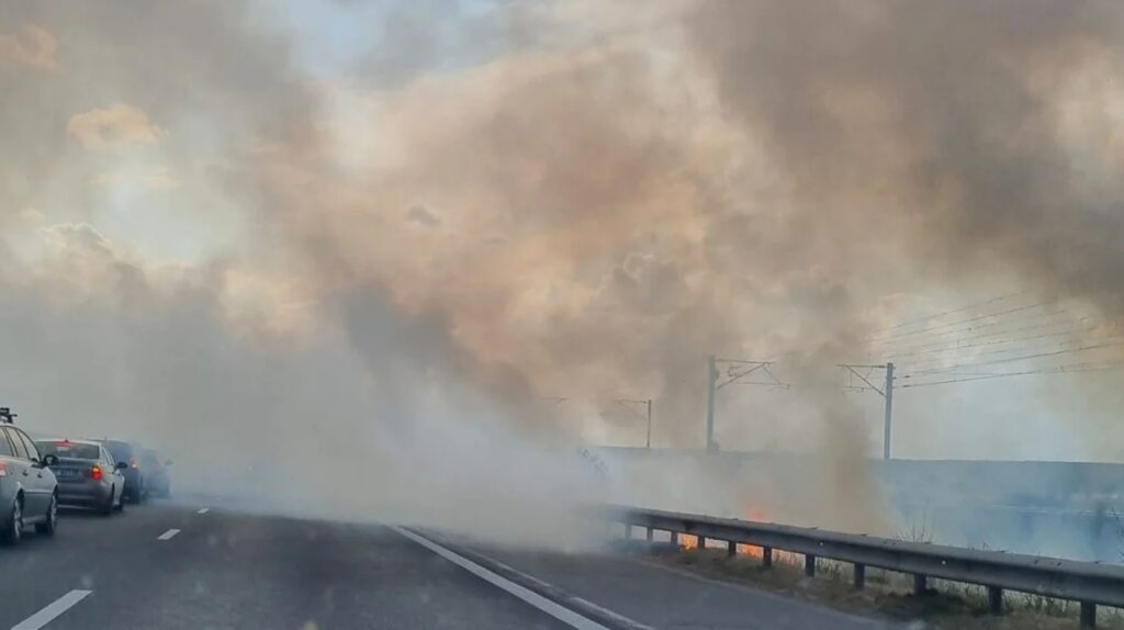 Incendiu de vegetaţie în apropiere de Autostrada Soarelui. Traficul a fost deviat
