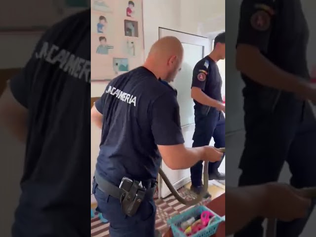 (VIDEO) Jandarmii doljeni au capturat un șarpe din grădinița din Corlate