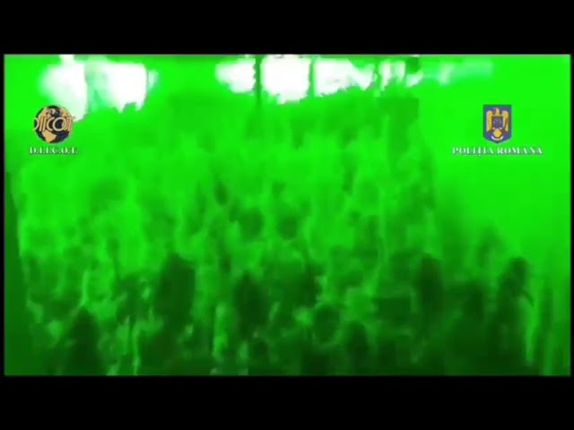 (VIDEO) 7 persoane arestate pentru trafic de droguri de risc și mare risc