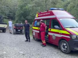 Tânără ucisă de urs pe traseul Jepii Mici din Bucegi