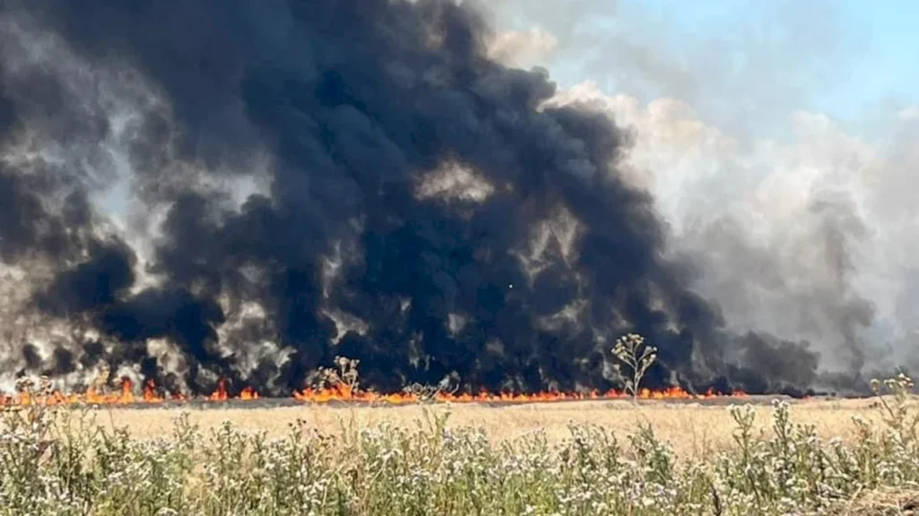 Incendiu de vegetație lângă București