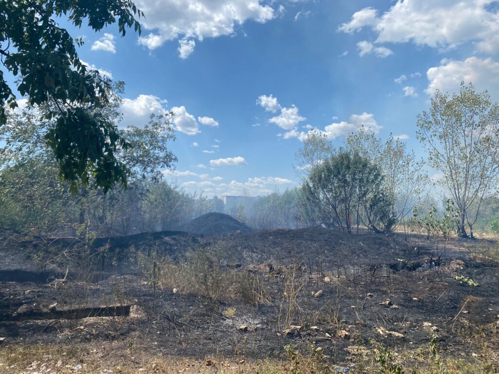 (VIDEO) Incendiu izbucnit la vegetație uscată în Slatina