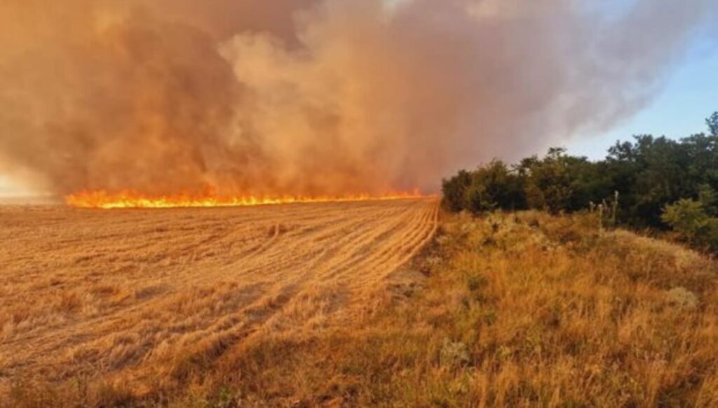 Femeie din Craiova, amendată în Gorj pentru că a incendiat paiele de pe un ogor