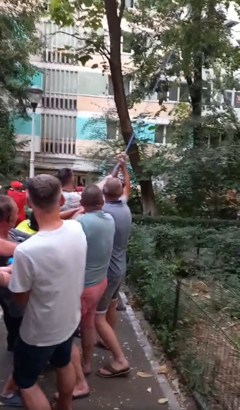 UPDATE.(Video) Copac căzut peste balcoanele unui bloc din Craiova