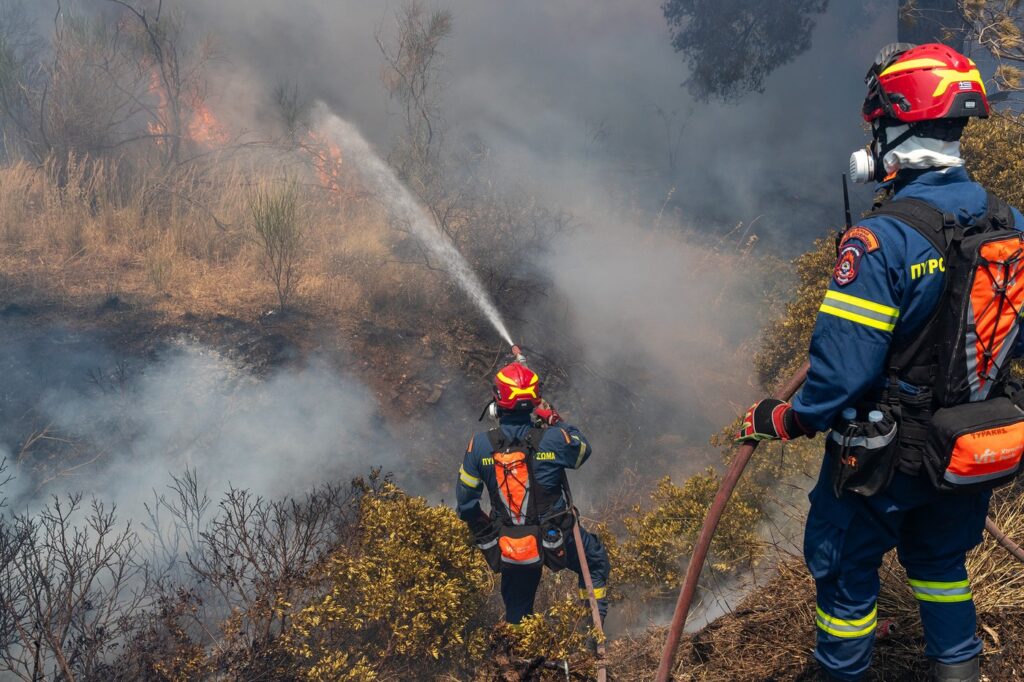 54 de incendii de vegetație în 24 de ore, în Grecia