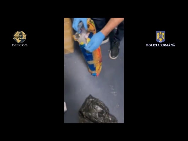 Cinci inculpaţi, judecaţi pentru trafic de droguri