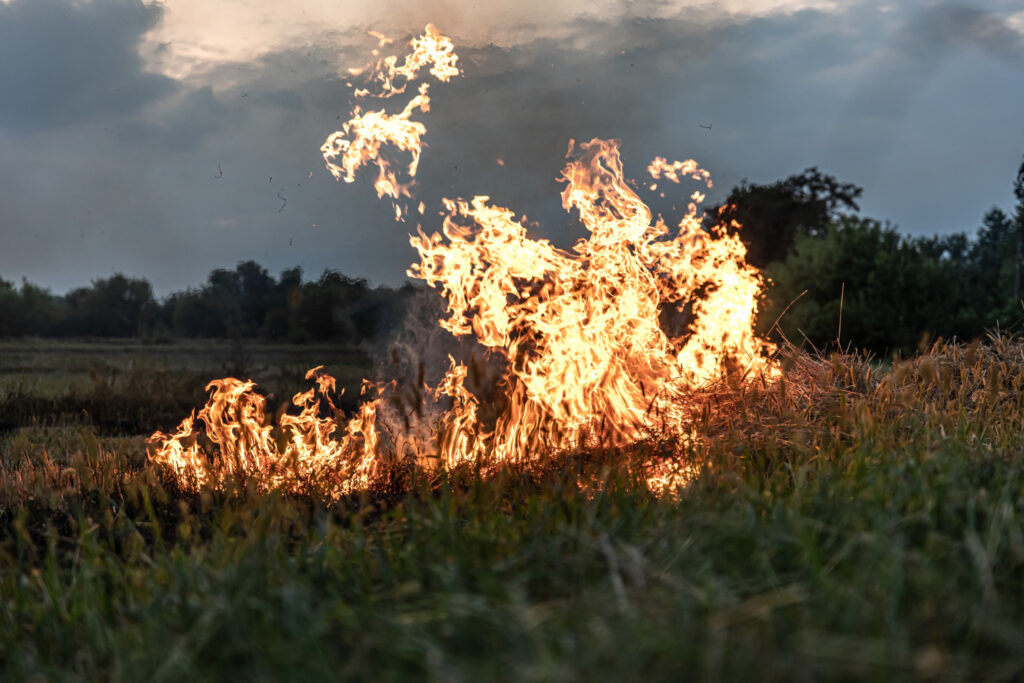 Incendiu masiv de vegetaţie în Argeş. Flăcările s-au extins la mai multe case